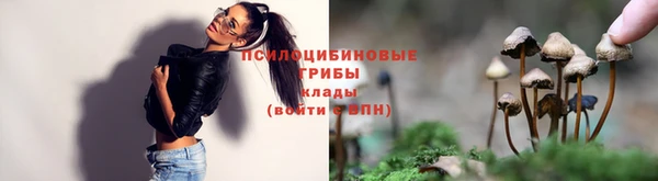 первитин Абинск