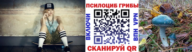 купить наркотик  Ангарск  Галлюциногенные грибы Psilocybe 