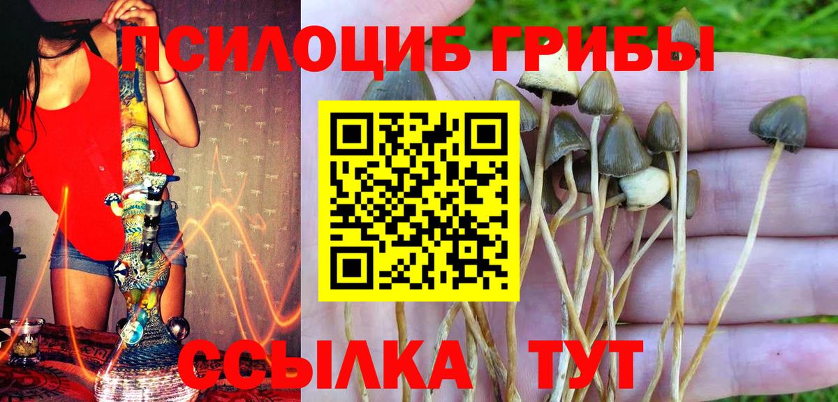 Ангарск  Псилоцибиновые грибы Cubensis  Вход с VPN 
